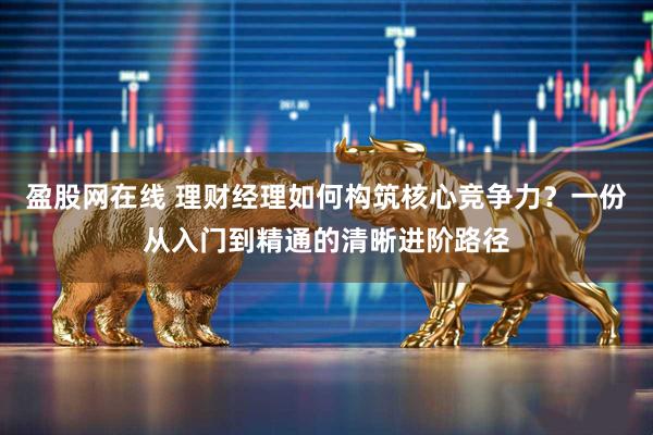 盈股网在线 理财经理如何构筑核心竞争力？一份从入门到精通的清晰进阶路径
