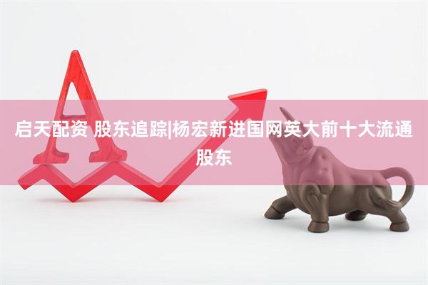启天配资 股东追踪|杨宏新进国网英大前十大流通股东