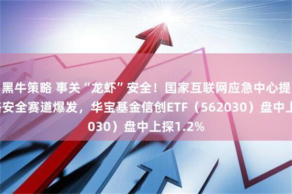 黑牛策略 事关“龙虾”安全！国家互联网应急中心提示！网络安全赛道爆发，华宝基金信创ETF（562030）盘中上探1.2%