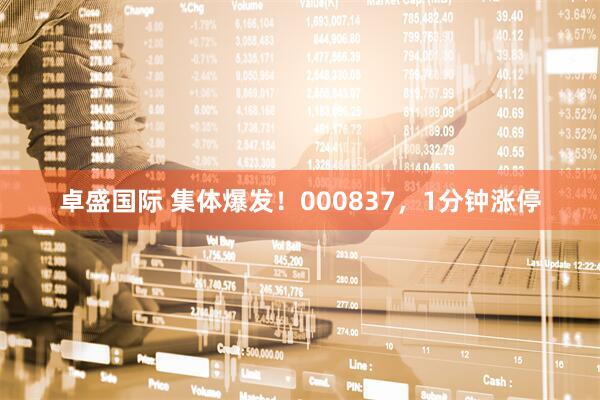 卓盛国际 集体爆发！000837，1分钟涨停